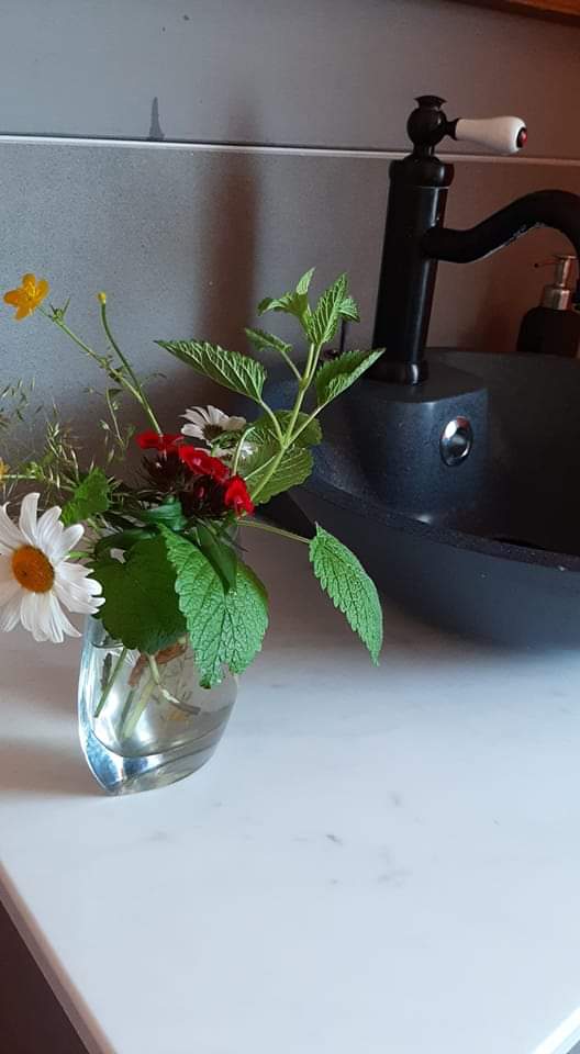Morgens schnell frisch gemacht