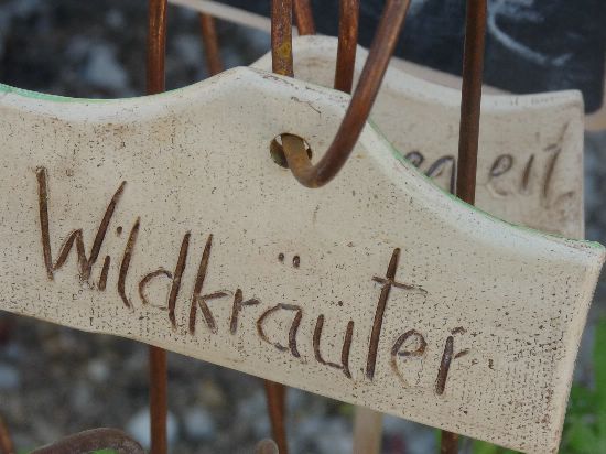 Trusetal ,Kräuterwiesen