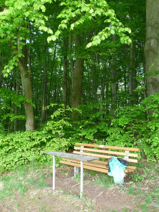Trusetal ,Thüringer Wald-Rastplätze mit Ausblick