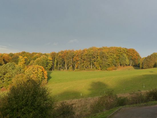 Trusetal ,Thüringer Wald-herbstlich
